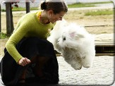 Daisy Chundelaté Potěšení